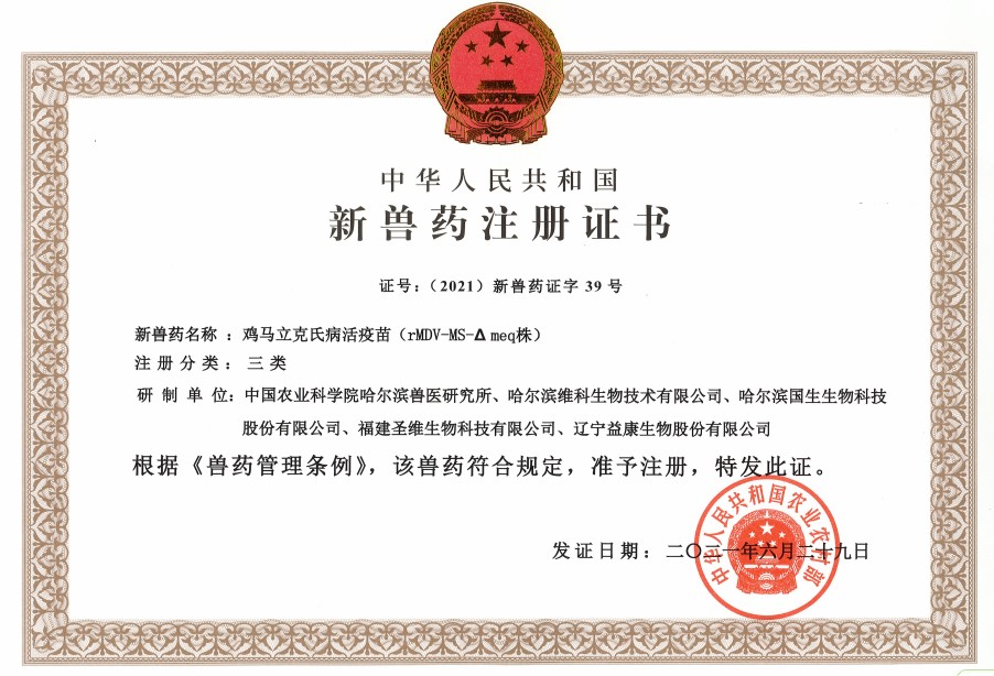 1626846010671754.jpg 11.jpg